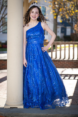 079SilverImage