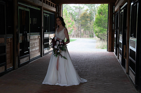 0479-SilverImagePhotos